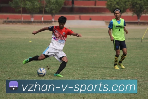 v体育平台生态图